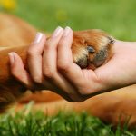 b-portugal-2013-road-trip-gallery-02